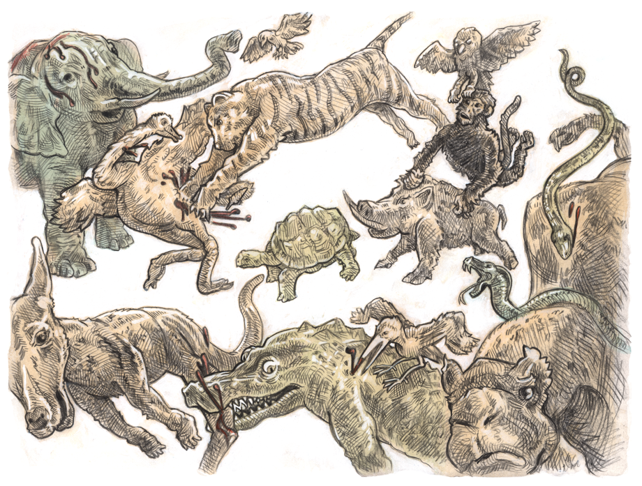 Animal Fight Page 3